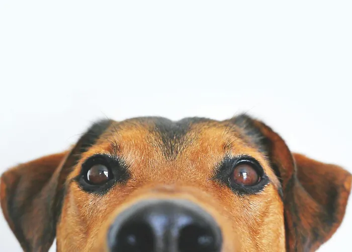 Garner - Schoeneberg By Ihg Hotel 3*